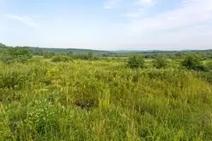 Large area of rural vacant land with green trees and brush.
